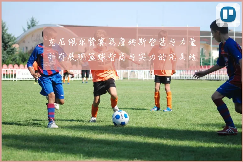 克尼佩尔赞赛恩詹姆斯智慧与力量并存展现篮球智商与实力的完美结合